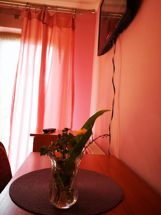 Agroturystyka W Dolinie Narwi Łomża Exteriér fotografie