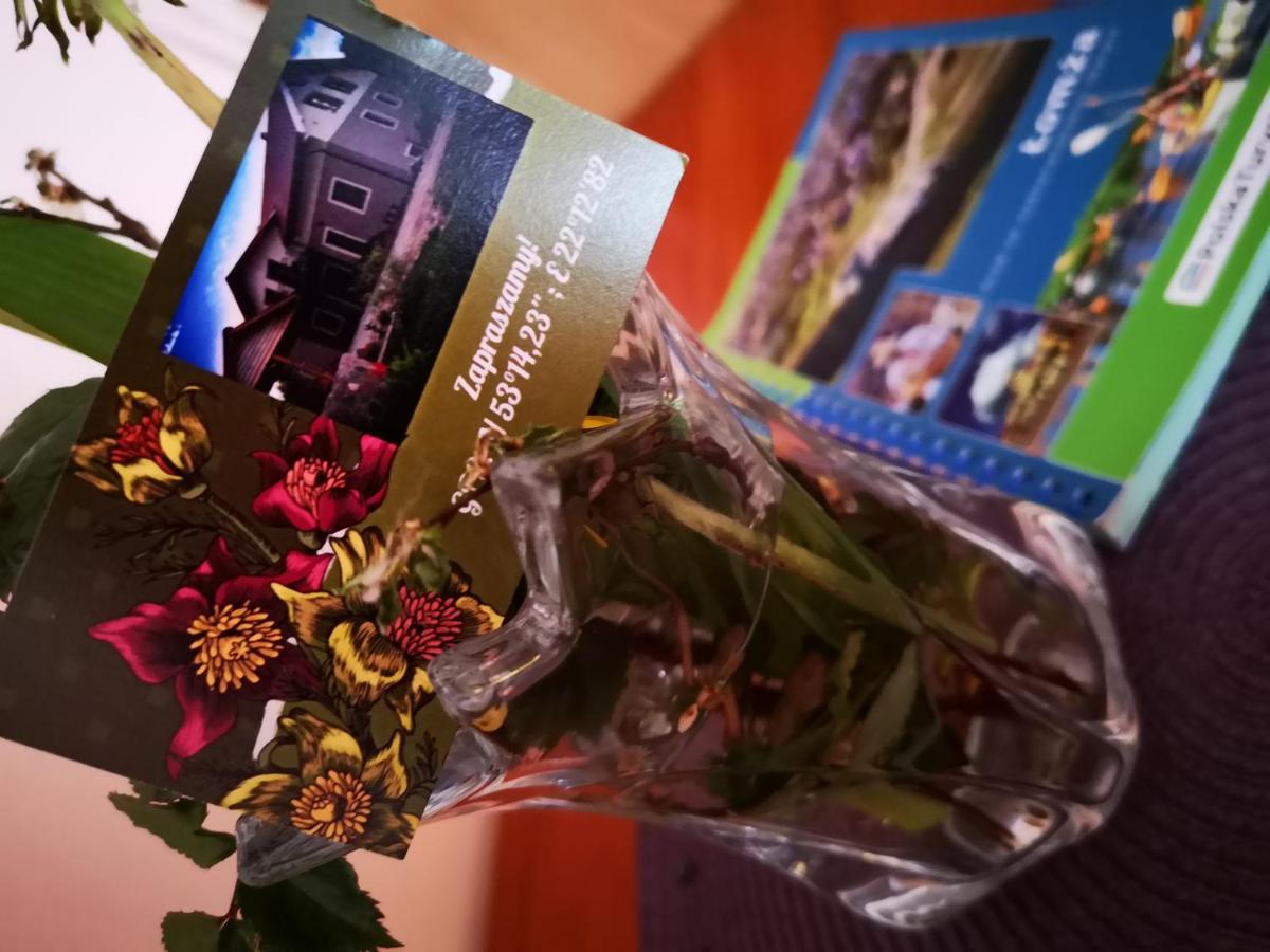 Agroturystyka W Dolinie Narwi Łomża Exteriér fotografie